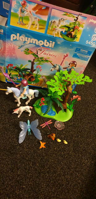 playmobil fairies 5450